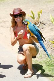 Στο Maui με τους παπαγάλους