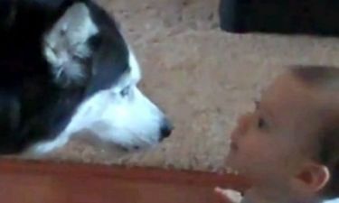 VIDEO: Μπέμπα πιάνει κουβέντα με τον σκύλο της!