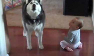 Η απίστευτη συνομιλία ενός μωρού με ένα Χάσκι! (βίντεο)