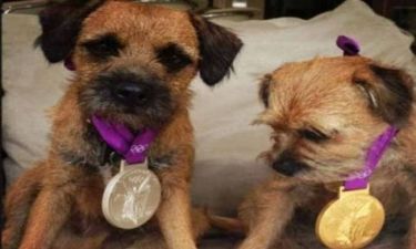 Λονδίνο 2012: Στα... σκυλιά τα μετάλλια του Άντι Μάρεϊ