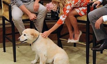 Ποιος ηθοποιός εμφανίστηκε με το σκύλο του σε εκπομπή;
