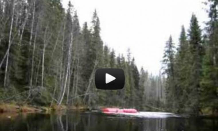 Βίντεο: Απολαμβάνοντας μια ήσυχη μέρα στη λίμνη όταν ξαφνικά…