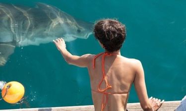 Halle Berry: Οι στενές επαφές με τους καρχαρίες…