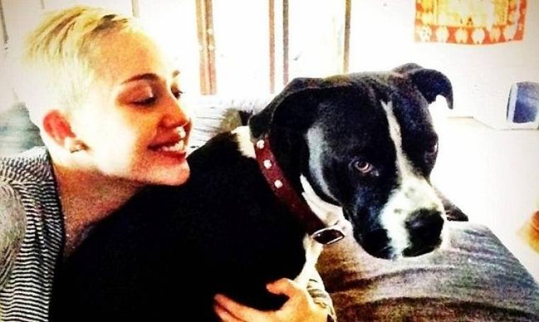 Miley Cyrus: Σιγά – σιγά συνέρχεται από το χαμό του σκύλου της