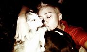 Miley Cyrus: Σιγά – σιγά συνέρχεται από το χαμό του σκύλου της