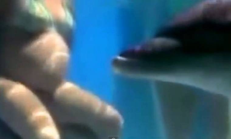 Μωρό γεννιέται μπροστά σε ένα δελφίνι! (βίντεο)