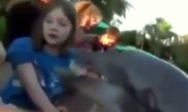 Δελφίνι δάγκωσε 8χρονο κοριτσάκι! (βίντεο)