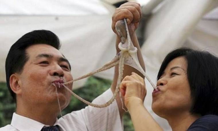 Απίστευτο: Κορεάτες τρώνε ωμά... χταπόδια!