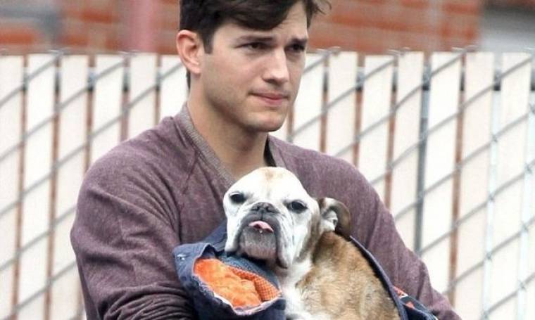 Ο Ashton Kutcher απαρηγόρητος καθώς πάει τον σκύλο του για ευθανασία! (φωτό)