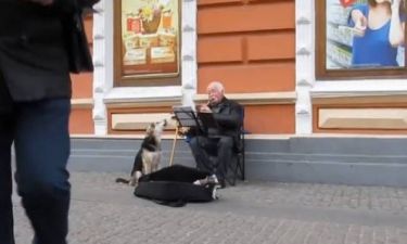 Απίθανο βίντεο: Σκύλος συνοδεύει... μουσικό του δρόμου!