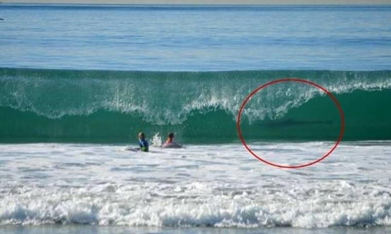Απίστευτη φωτογραφία: Την ώρα που ήταν στη θάλασσα είδαν έναν...