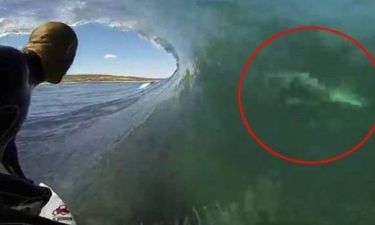 Απίστευτο βίντεο: Η στιγμή που καρχαρίας περνά ξυστά από σέρφερ!