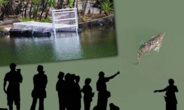 Ρέθυμνο: Ζητούν να μείνει ο «Σήφης», ο κροκόδειλος στη λίμνη για πάντα!