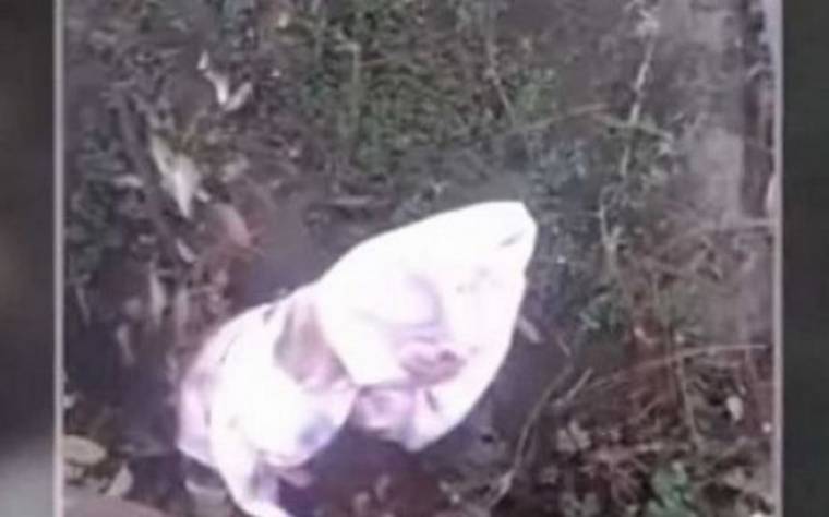 Θα ανατριχιάσετε! Δείτε τι βρήκε ένας άνδρας τυλιγμένο στο δρόμο για το σπίτι του (βίντεο)