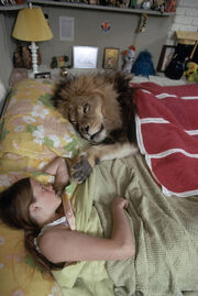 Απίστευτο! Η Melanie Griffith στα νιάτα της ζούσε με  ένα λιοντάρι! 