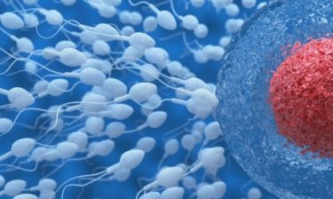 Σεξ και αλλαγές στο ανοσοποιητικό: Πώς επιδρούν στη γονιμότητα