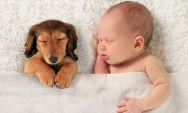 Ο σκύλος προστατεύει τα παιδιά από το άσθμα