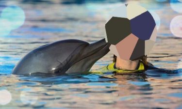 Η γλυκιά φωτογραφία Ελληνίδας παρουσιάστριας με δελφίνι, που της δίνει φιλί!