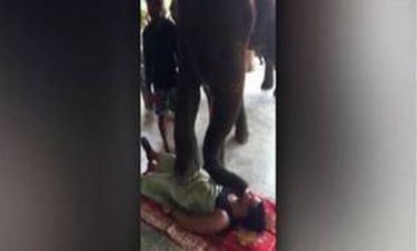 Μασάζ από... ελέφαντες στην Ταϊλάνδη