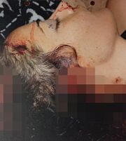 Σοκάρουν οι φωτογραφίες της δολοφονημένης Ρίβα Στέενκαμπ 
