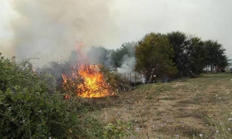 Φωτιά ΤΩΡΑ: Μεγάλη πυρκαγιά στα Δερβενοχώρια