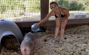 Miley Cyrus: Ταΐζει το γουρούνι της με το μπικίνι