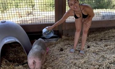 Miley Cyrus: Ταΐζει το γουρούνι της με το μπικίνι