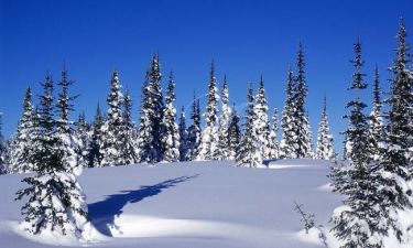 Η ΕΜΥ προειδοποιεί – Χιονιάς θα σαρώσει σε λίγες ώρες τη χώρα – Χιόνια και στην Πάρνηθα