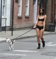 Χαμός στους δρόμους της Νέας Υόρκης! Διάσημο μοντέλο έβγαλε τον σκύλο βόλτα με… τα εσώρουχά της!