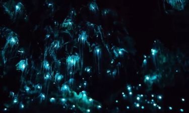 Εντυπωσιακό! Οι πυγολαμπίδες φωτίζουν ολόκληρη σπηλιά στη Νέα Ζηλανδία!