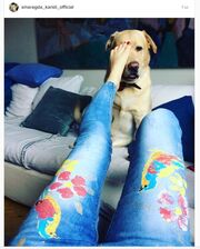 Σμαράγδα Καρύδη: Χαλαρώνει στον καναπέ του σπιτιού της παίζοντας με τον σκύλο της (φωτο)