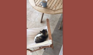 Απολαμβάνει τον καφέ στο μπαλκόνι με τη γάτα του ο…