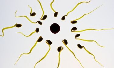 H ηλιοφάνεια και η χαλάρωση του καλοκαιριού αυξάνουν τη γονιμότητα σε άνδρες και γυναίκες