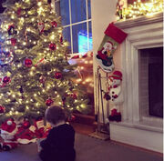 Βαρδής – Σκαφίδα: To υπέροχο Χριστουγεννιάτικο δέντρο στο δωμάτιο της κόρης τους