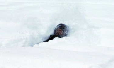Καιρός: Το «Κοριτσάκι» πλησιάζει και απειλεί να… θάψει στο χιόνι την Ευρώπη