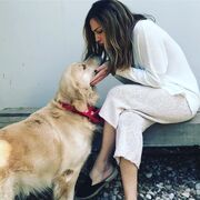 Δέσποινα Βανδή: Αγκαλιές και χάδια με τα σκυλιά της ανήμερα του Πάσχα