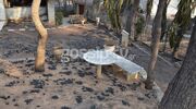 Φωτιά Αττική: Στάχτη το σπίτι της Ζωζώς Σαπουντζάκη στην Κινέτα 