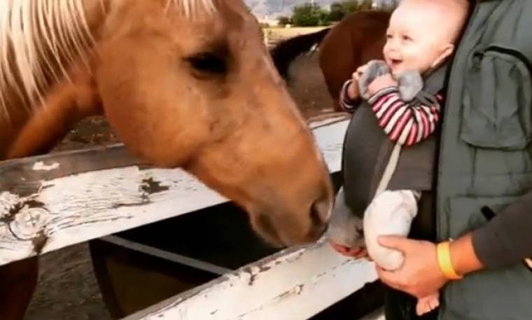 Όταν ένα μωράκι συναντά ένα… άλογο!