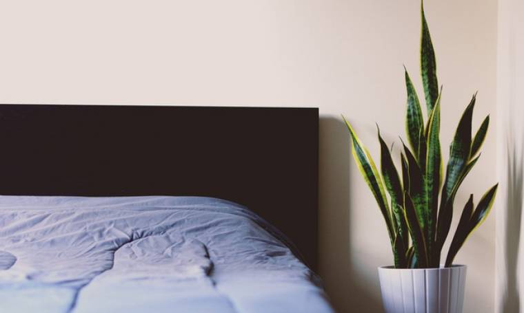 Ιδέες διακόσμησης για το πιο minimal φοιτητικό υπνοδωμάτιο