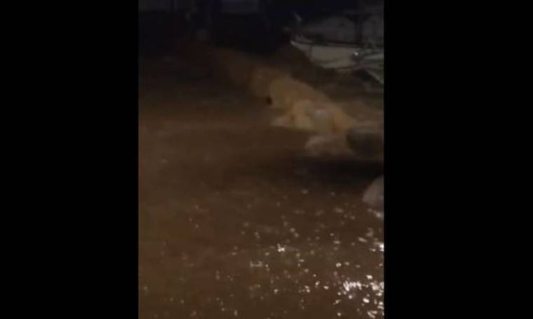 Φονικές πλημμύρες στη Μαγιόρκα: Τουλάχιστον πέντε νεκροί και 12 αγνοούμενοι (vid)