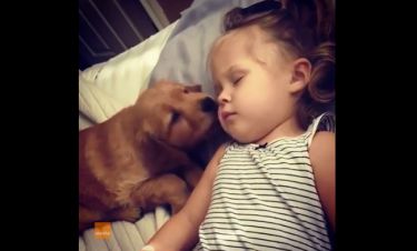 Το σκυλάκι απλά προσπαθεί να ξυπνήσει το κοριτσάκι