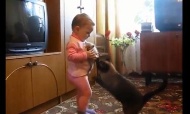 Η γάτα προσπαθεί να πάρει το μωράκι της από το κοριτσάκι
