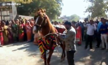 Άλογο επιτέθηκε σε... καλεσμένους γάμου (vid)