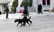 Βασίλης Χαραλαμπόπουλος: Βόλτα με τον αγαπημένο του σκύλο 