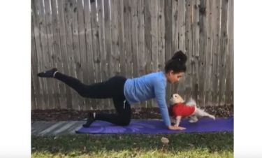 Απολαυστικό βίντεο: Η σκυλίτσα που κάνει...yoga