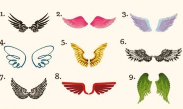 Διάλεξε ένα από τα 9 ζευγάρια φτερών και δες πού έχεις την προστασία των αγγέλων