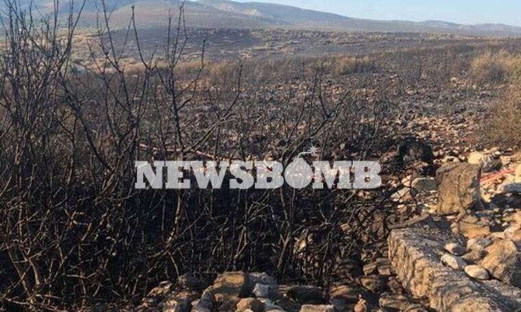 Συναγερμός σε όλη την Ελλάδα: Ξέσπασαν 59 φωτιές σε ένα 24ωρο – Κάηκαν Ελαφόνησος και Μαραθώνας