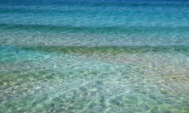 Πανικός σε παραλία της Κρήτης – Δείτε τι έπαθε τουρίστας (photos)