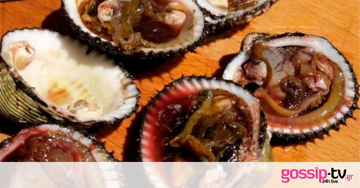 Μην τα δοκιμάσεις ποτέ: Τα πιο επικίνδυνα φαγητά στον κόσμο | Gossip-tv.gr