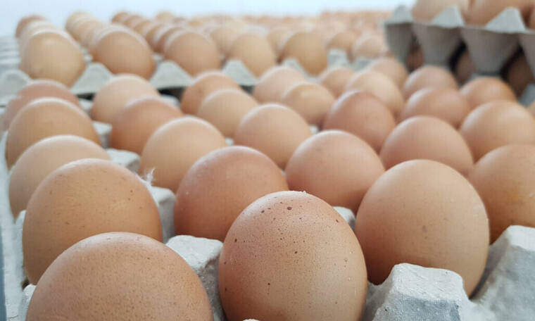 Πόσο διαρκούν τα φαγητά που έχουν αυγά στο ψυγείο;